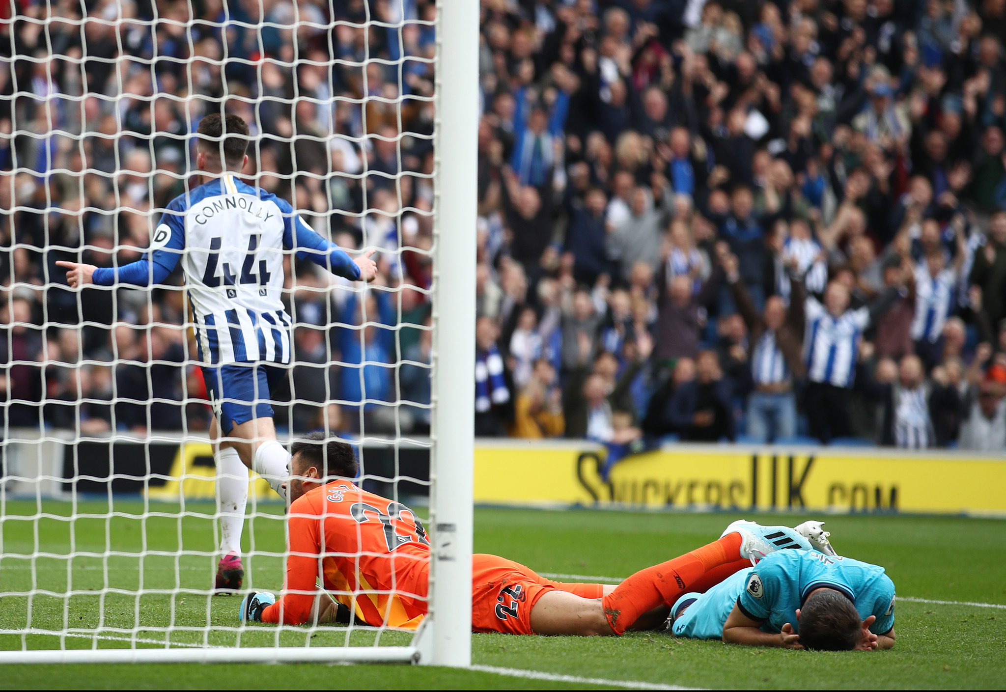 定的基础 定的基础